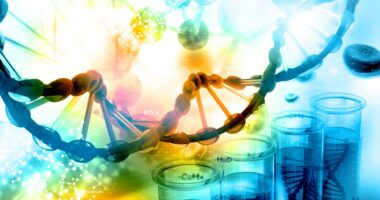 Charcot-Marie-Tooth genetic mutations