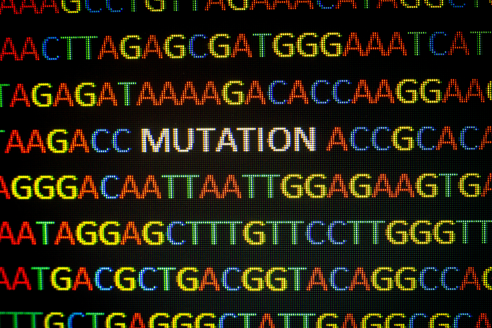 PRX gene mutation