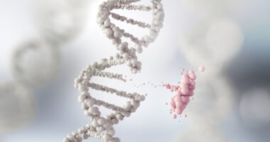 PMP22 gene copy in CMT1A