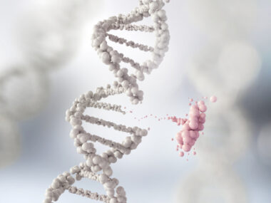 PMP22 gene copy in CMT1A