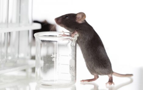 Dietary intervention