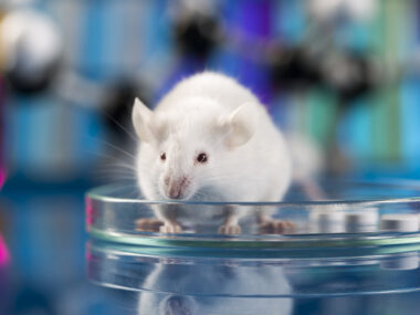 CMT precision medicine