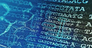 MORC2 mutation and CMT2Z