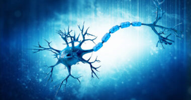 nerve thickening in CMT4H | Charcot-Marie-Tooth News | case report of spinal nerve thicking in CMT4H patients