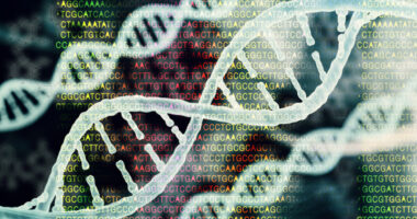 CMT genetic mutations