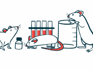 myelin | Charcot-Marie-Tooth News | study in CMT mouse model