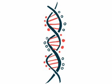 An illustration of a strand of DNA, showing its double helix.
