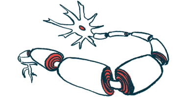 peripheral nerve tissue | Charcot-Marie-Tooth News | CMT Research Foundation | illustration of neuron