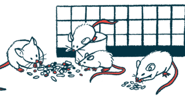 CMT1A gene therapy | Charcot-Marie-Tooth News | illustration of laboratory mice eating