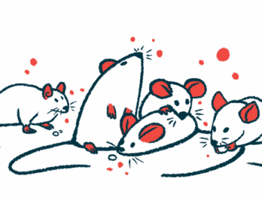 A group of mice, one of them eating, huddle together.