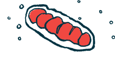 mitochondrial fragmentation | Charcot-Marie-Tooth News | illustration of mitochondria