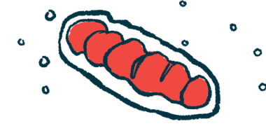 mitochondrial fragmentation | Charcot-Marie-Tooth News | illustration of mitochondria