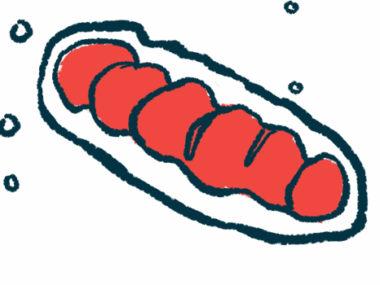 mitochondrial fragmentation | Charcot-Marie-Tooth News | illustration of mitochondria