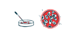 An illustration of cells in a lab dish.